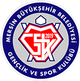 梅爾辛BBGSK logo