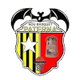 NB帕特納女籃 logo