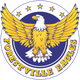 森林維爾老鷹 logo