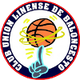 利內阿聯籃球 logo