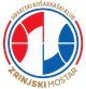 茲林斯基女籃 logo