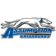 阿蘇姆托拉斯大學女籃 logo