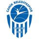 薩姆松女籃 logo