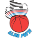 帕蒂女籃 logo