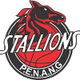 檳城寶馬女籃 logo