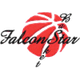 龐托尼法康斯塔 logo