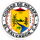 內賈帕 logo