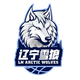 遼寧雙喜電器女籃 logo