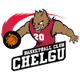 ChelSU科斯坦尼 logo