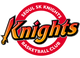 首爾SK騎士 logo