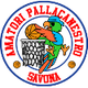 薩沃納女籃 logo