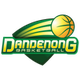 丹德農游騎兵 logo