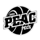 PEAC佩奇女籃 logo