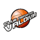 瓦爾迪維亞 logo