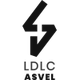 里昂維勒班U21 logo