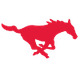 南方衛理會女籃 logo