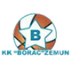 博拉茨澤姆 logo