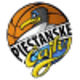 皮爾斯坦卡女籃 logo