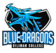DC藍龍 logo