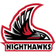 西北拿撒勒大學 logo