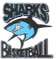 薩瑟蘭德鯊魚女籃 logo