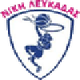 萊夫卡扎女籃 logo