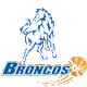 休姆城野馬女籃 logo