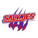 華雷斯薩爾瓦耶斯 logo