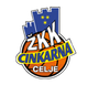 辛卡納采列女籃 logo