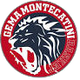 吉馬蒙特卡蒂尼 logo
