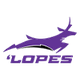 大峽谷女籃 logo