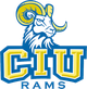 哥倫比亞國際大學 logo