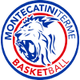 蒙泰卡蒂尼泰爾梅 logo