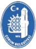 喬魯姆市 logo