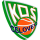 塞洛維茨 logo
