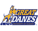 紐州大阿爾巴尼分校 logo