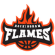 羅金厄姆火焰女籃 logo