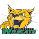 威爾明頓大學女籃 logo