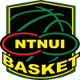 NTNUI怪咖 logo