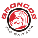 琦玉野馬 logo