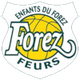 福雷斯 logo