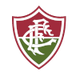 富明尼斯U19 logo