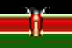 肯尼亞女籃 logo