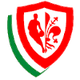 艾尼克費倫澤 logo