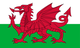 威爾士女籃U16 logo