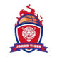 柔佛南虎女籃U23 logo