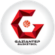 加濟安泰普 logo