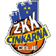 ZKK采列女籃 logo