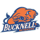 巴克內爾大學女籃 logo
