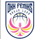 費尼克斯女籃 logo